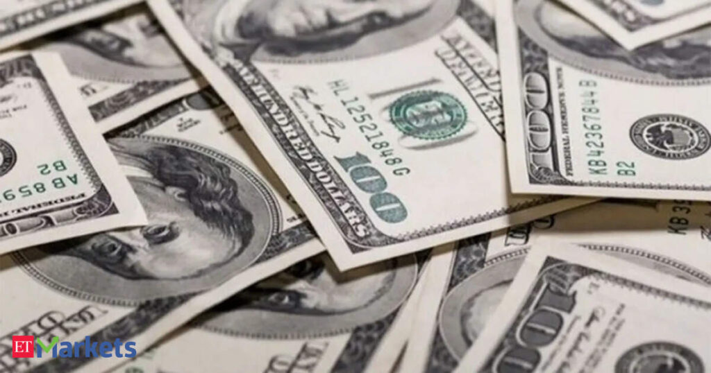 India raises $73 bn in forex inflows at record pace